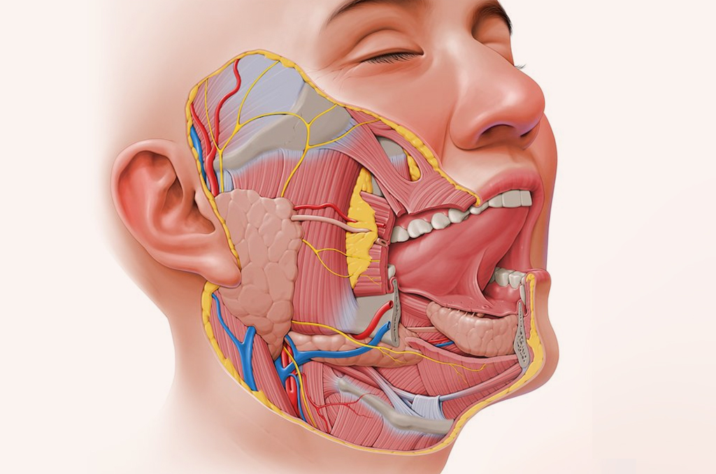 Head & Neck Cancer